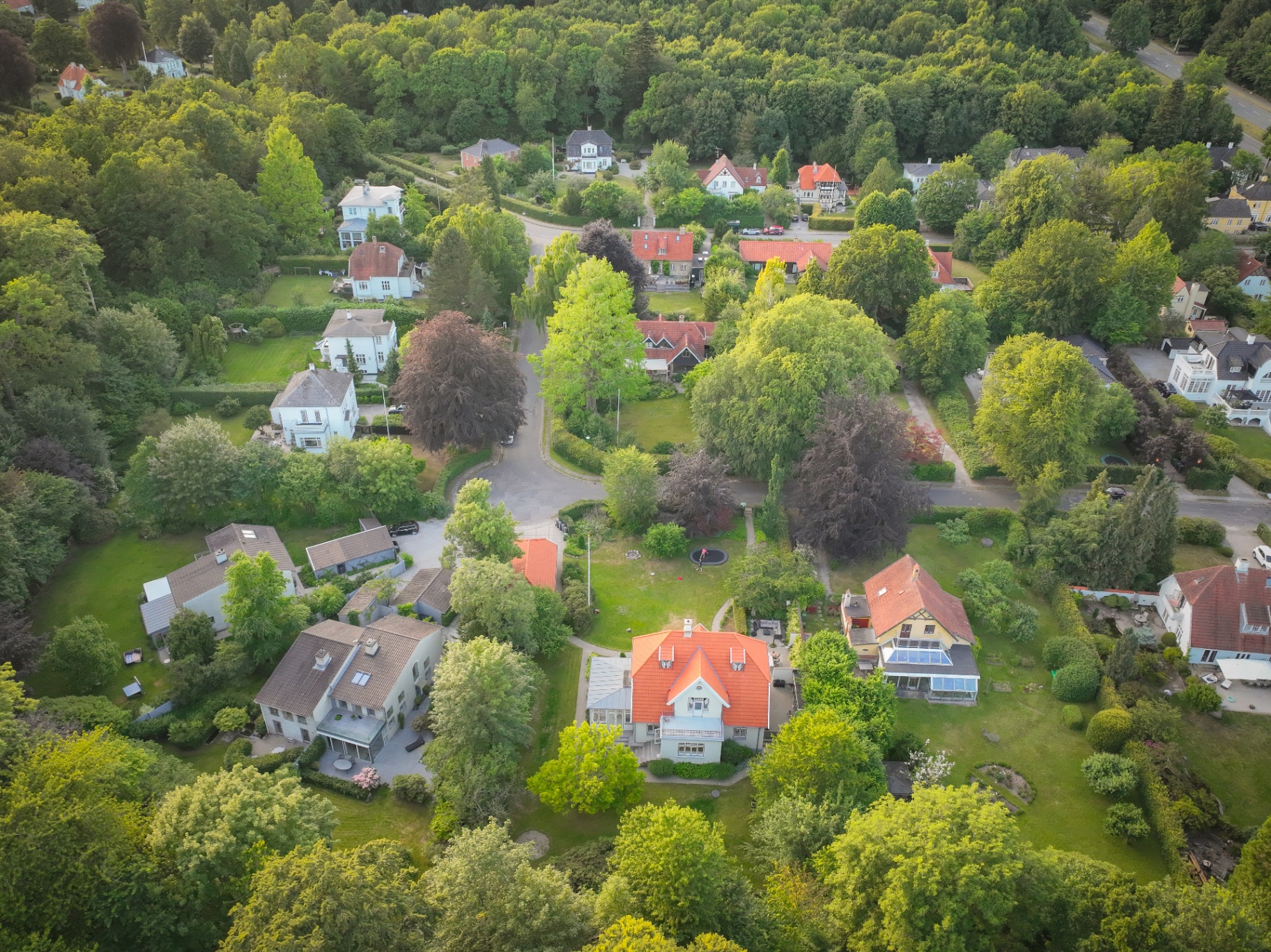 Birkholmsvej set fra oven — en tre‑ og villavej i Virum